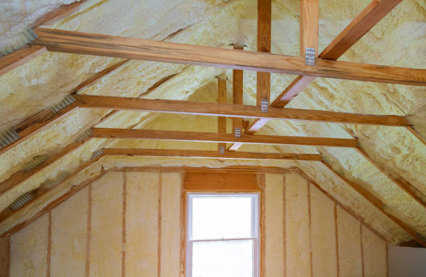 Best Insulation Removal  in Wilson, WY